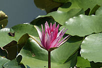 �뿪��ɫ����