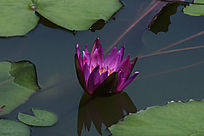 �뿪ˮ�е�������