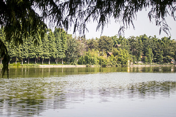 ��ƽ����ˮ