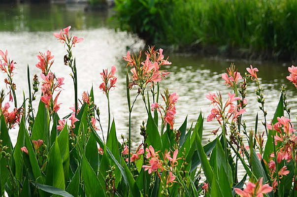 ������ߵ����˽�