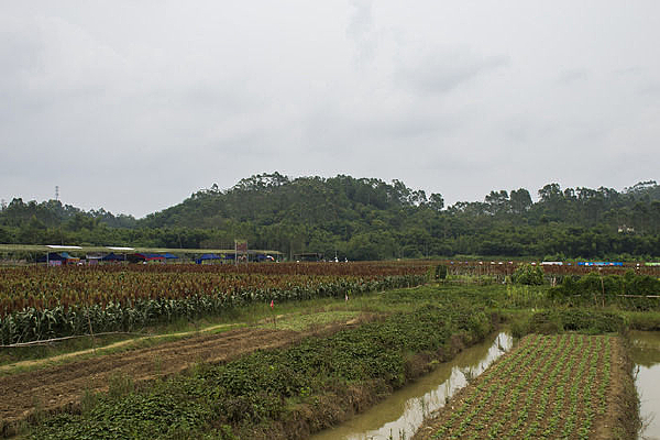 ��Ƭ�������ֲ��