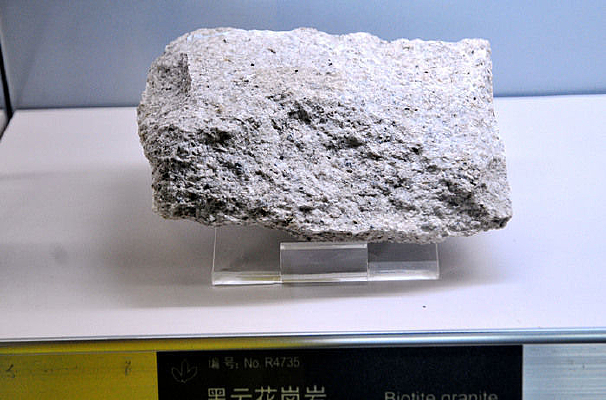 ���������ƻ�����