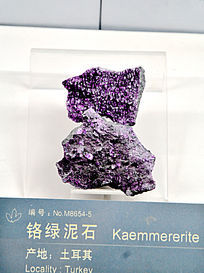 ������ʯ