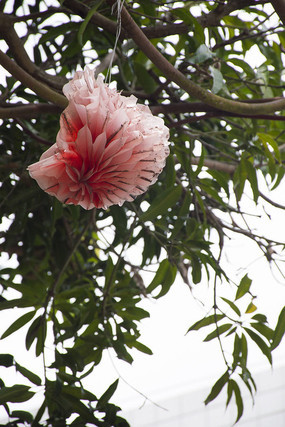 ��԰�������Ϸ����ĺ����