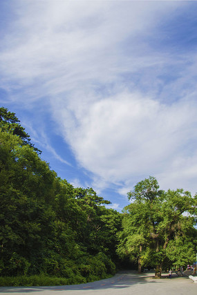 �㳡��ľ���������