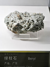 �㶫����ʯ