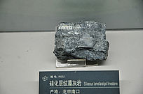 �軯���������