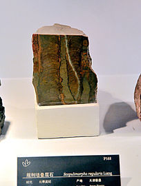 ����ǽ����ʯ