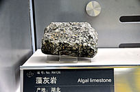 �ӱ��������