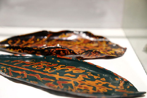 �ڵغ�ɫ����Ҷ