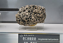 ������������״�ְ���