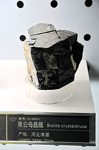 ����ĸ����