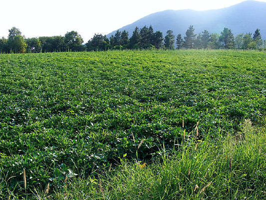 �����غ��������