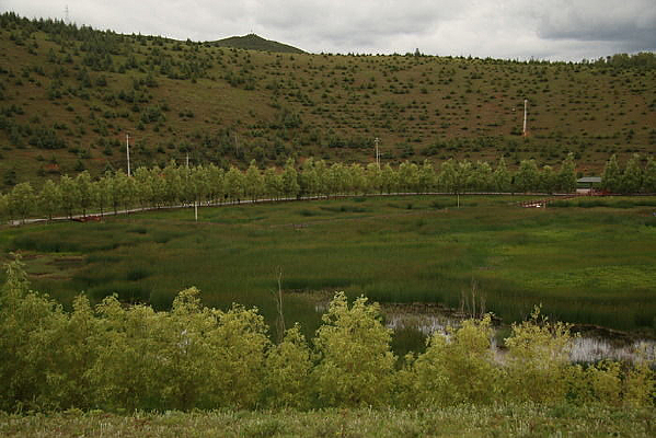 ��������ľ