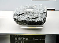 ��魻Գ���