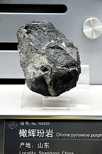 �ϻ�����