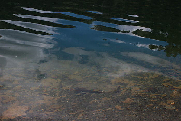 ���沨������