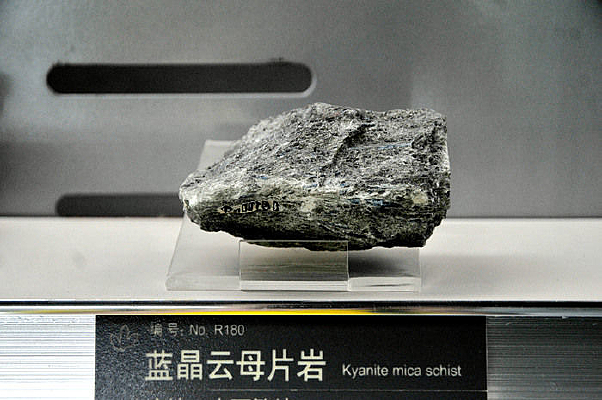 ������ĸƬ��