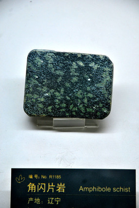 ��������Ƭ��