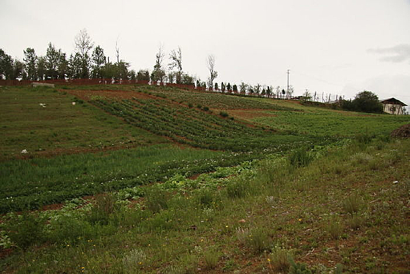 �����͵�ɽ��