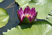 õ��뿪������