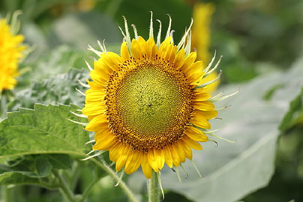 �����Ŀ���