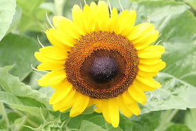 ������������