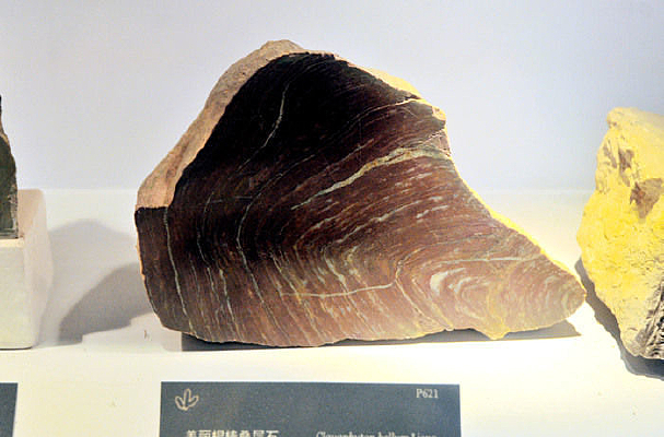 ������������ʯ