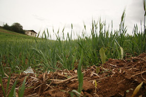 ũ������ѿ��ѿ