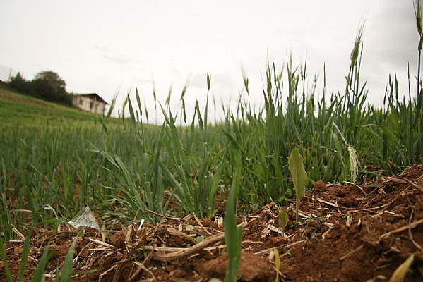 ũ������ѿ��ѿ