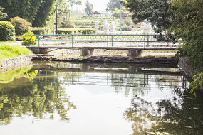 ƽ���ĺ������