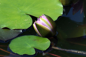 ��۵�����