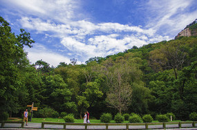 ǧɽ��������ľ���������