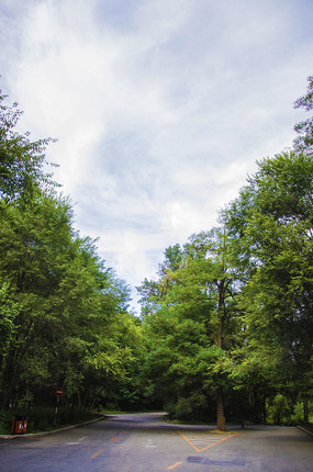 ǧɽ��·��ľ���������