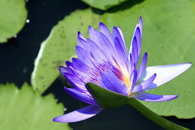 ǳ�ϵ�����