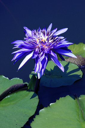 ǳ��ϸ������