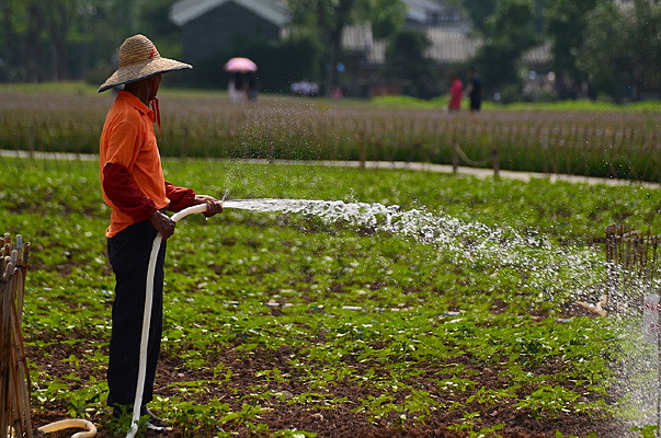 ��ˮ�Ĳ�ũ�羰ͼƬ