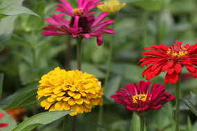 ɫ�������İ��ղ�