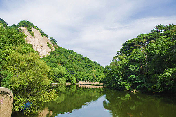 ɽ����Ž������