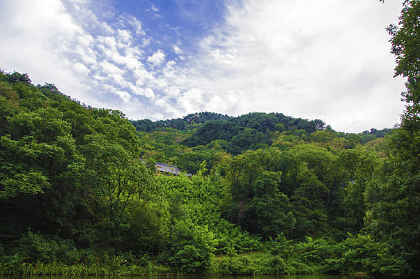 ɽ�����������