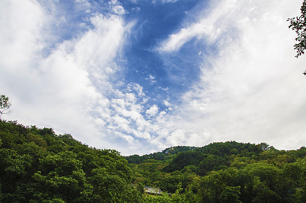 ɽ�����������