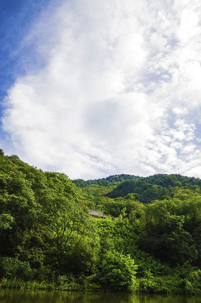 ɽ�����������