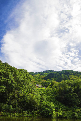 ɽ�����������