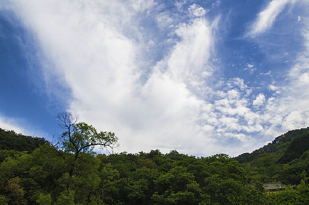 ɽ�����������