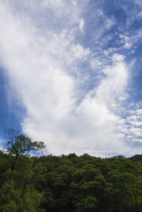 ɽ�����������