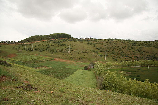 ɽ���ϵ���ɫֲ��