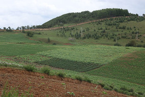 ɽ���ϵ�ũ����