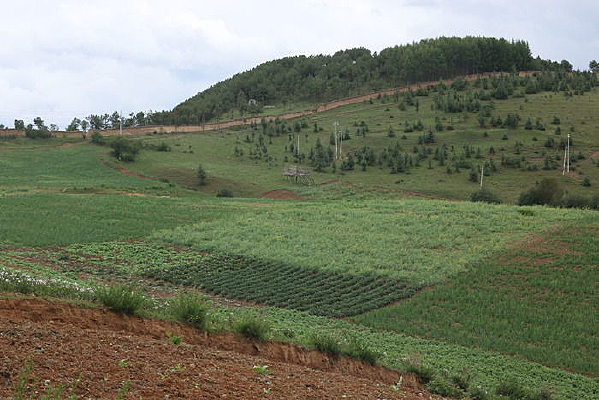 ɽ���ϵ�ũ����