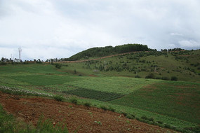 ɽ���ϵ����