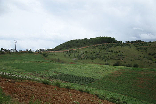 ɽ���ϵ����